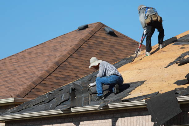 Best Solar Panel Roofing Installation  in Knoxville, IA