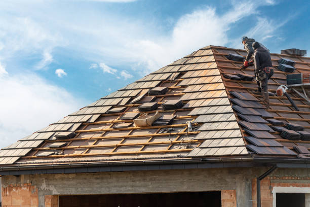 Best Sheet Metal Roofing  in Knoxville, IA