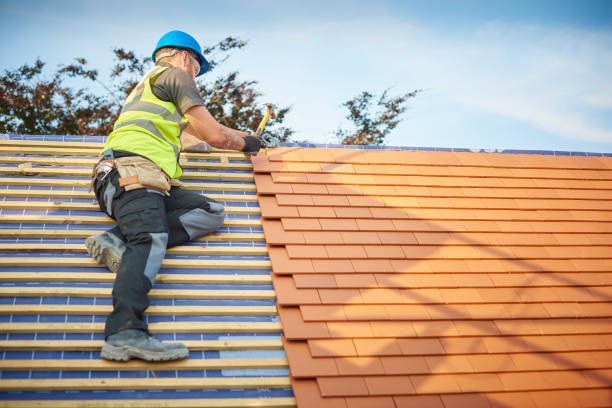 Best Roof Leak Repair  in Knoxville, IA
